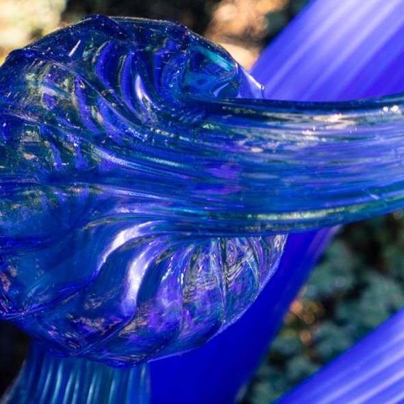 Chihuly, Chihuly Garden, Seattle, Glass