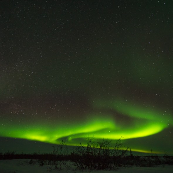 Picture of Northern Lights Aurora Borealis Polar Lights Northern Lights in Churchill Manitoba Canada by mcmessner Mary Catherine Messner