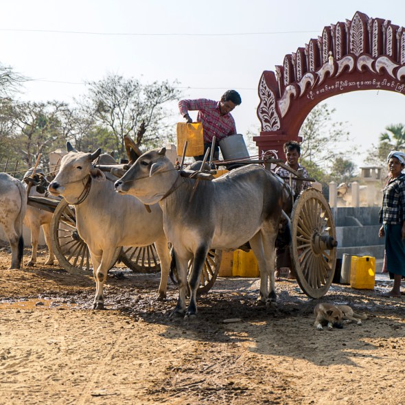 Pictures of Bagan Myanmar Burma with TCS Uncharted Myanmar trip by mcmessner Mary Catherine Messner