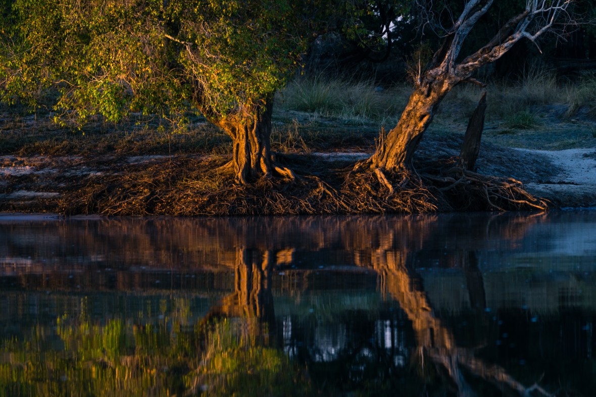 Picture of morning light on Zambezi River, Zambia, Africa while on the 2016 Passport to Folk Art: South Africa trip with BJ Adventures