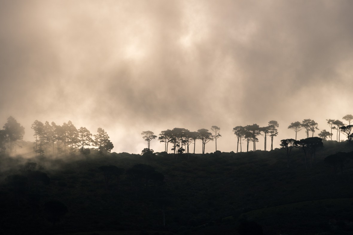 Picture of for over Table Mountain, Cape Town, South Africa, Africa while on the 2016 Passport to Folk Art: South Africa trip with BJ Adventures