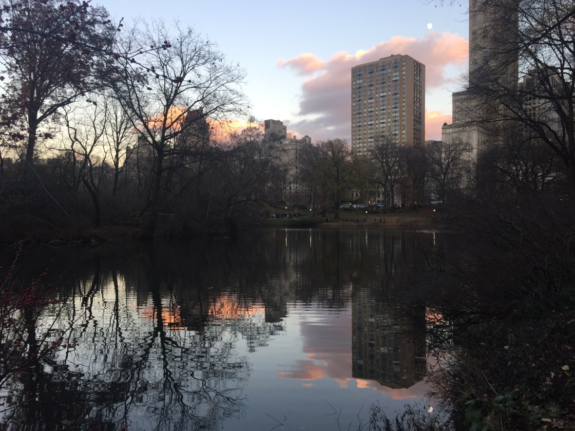 Picture of Moon Rising Over Central Park in New York City, New York
