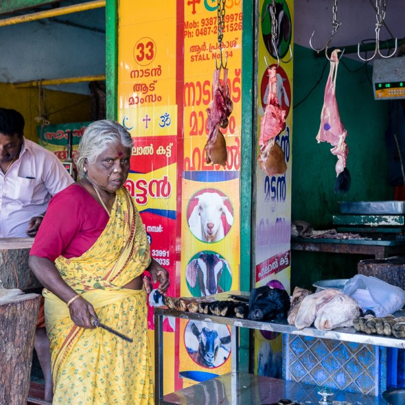 Pictures of people, places, and things in Cochin, Kochi, Kerala, India