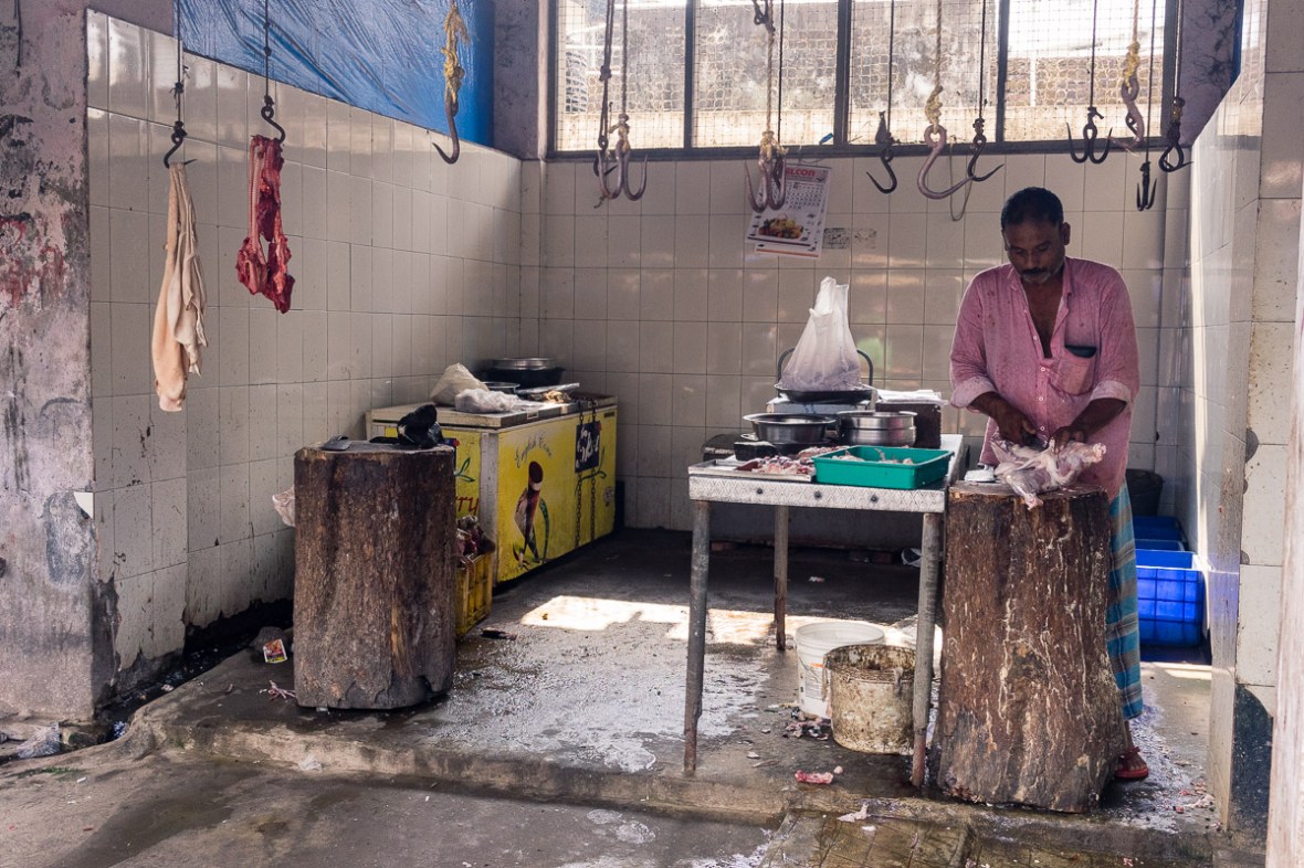 Pictures of people, places, and things in Cochin, Kerala, India by mcmessner Mary Catherine Messner