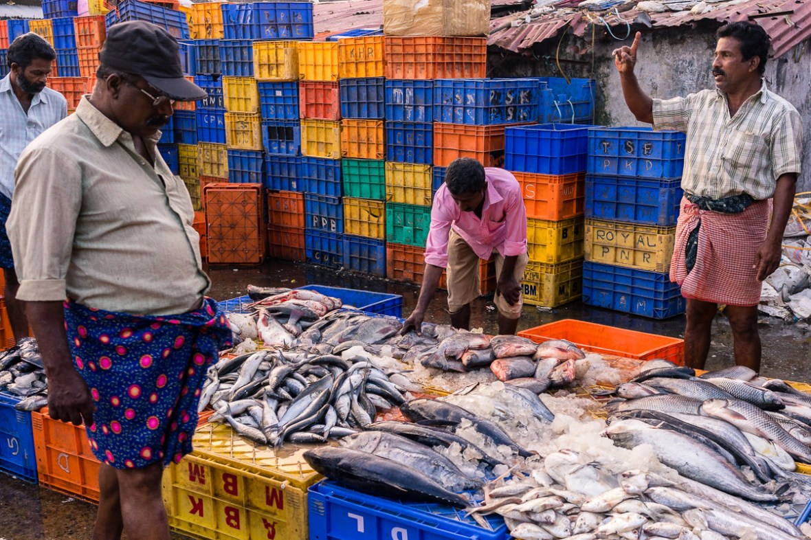 Picture of fish market in Thrissur, Kerala, India