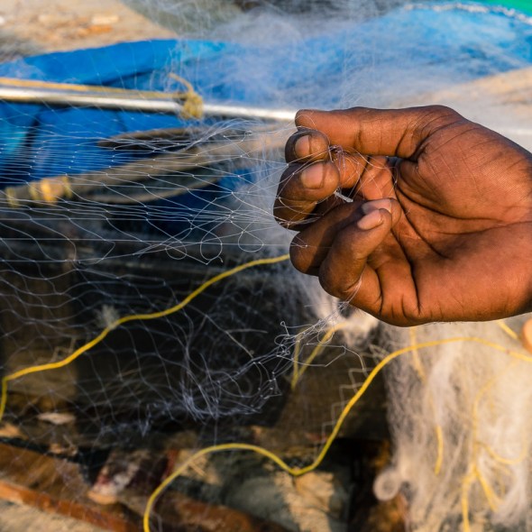 Pictures of people, places, and things in Cochin, Kerala, India by mcmessner Mary Catherine Messner