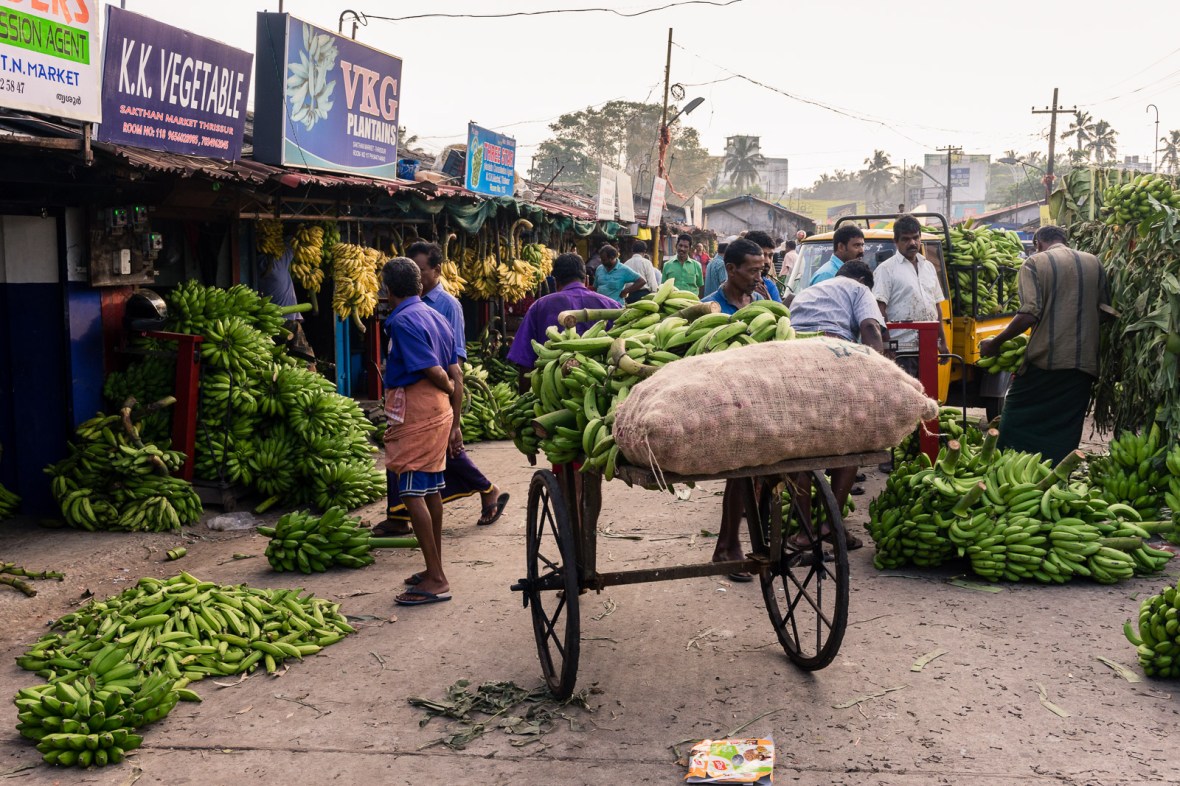 Travel photography of people, places, and things in Cochin Thrissur Kollam, Kerala, India by mcmessner Mary Catherine Messner