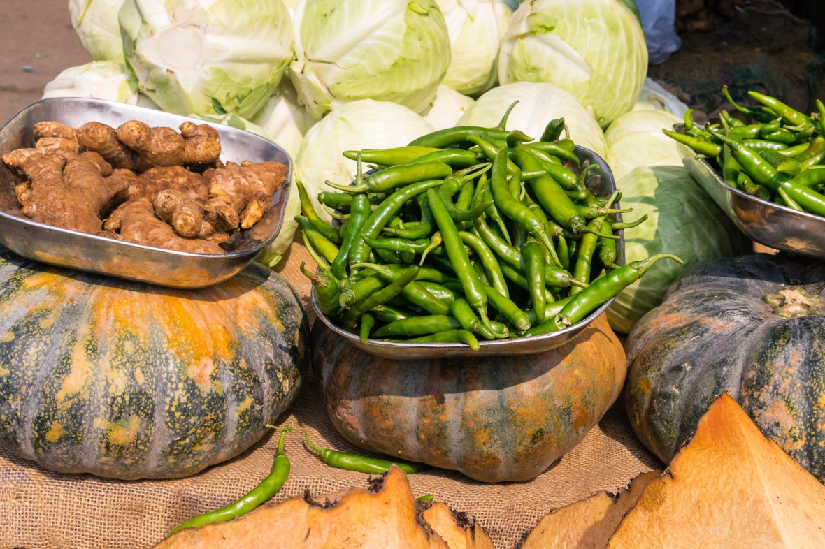Travel photography of people, places, and things in Cochin Thrissur Kollam, Kerala, India by mcmessner Mary Catherine Messner