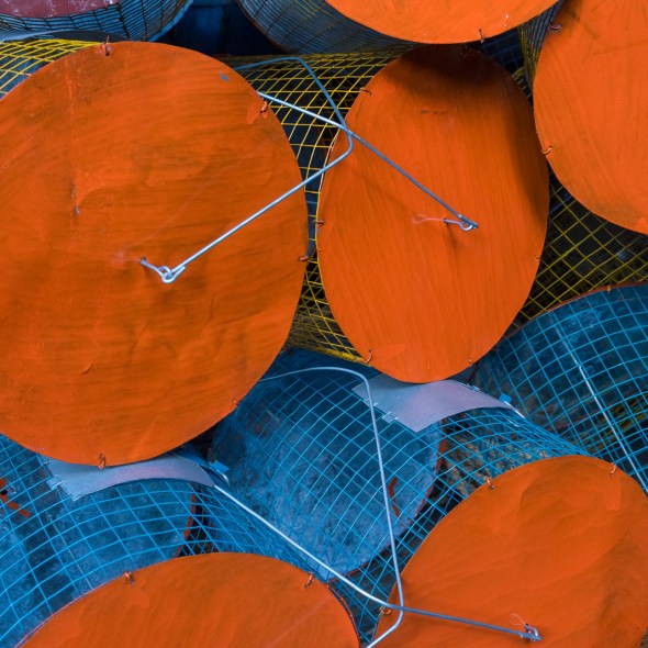 Travel photography of people, places, and things in Cochin Thrissur Kollam, Kerala, India by mcmessner Mary Catherine Messner