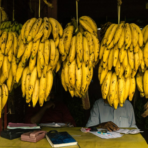 Travel photography of people, places, and things in Cochin Thrissur Kollam, Kerala, India by mcmessner Mary Catherine Messner