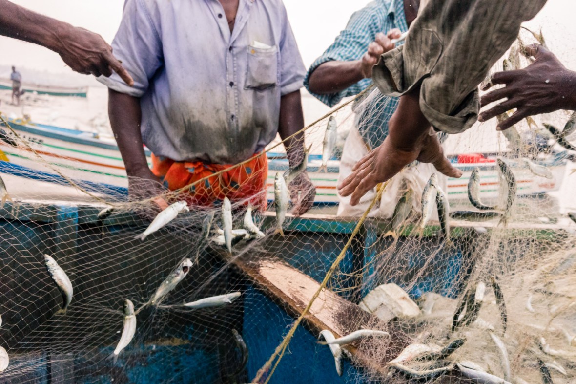 Travel photography of people, places, and things in Cochin Thrissur Kollam, Kerala, India by mcmessner Mary Catherine Messner