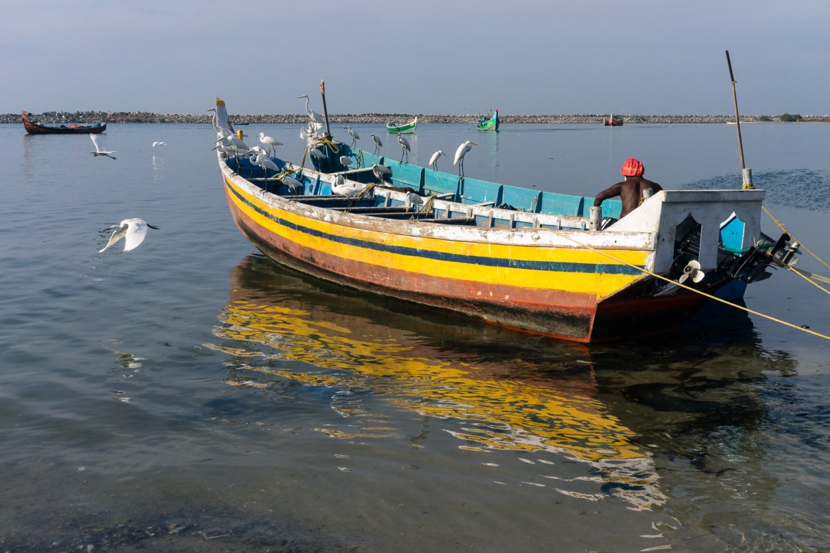 Travel photography of people, places, and things in Cochin Thrissur Kollam, Kerala, India by mcmessner Mary Catherine Messner