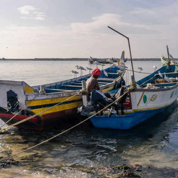 Travel photography of people, places, and things in Cochin Thrissur Kollam, Kerala, India by mcmessner Mary Catherine Messner