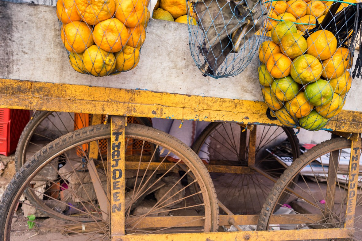 Travel photography of people, places, and things in Cochin Thrissur Kollam, Kerala, India by mcmessner Mary Catherine Messner