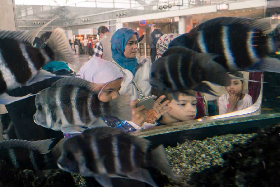 Ferry, New York, New York City, NYC, Photography, Staten Island Ferry, Street Photography, USA, Workshop, Travel, Travel Photography