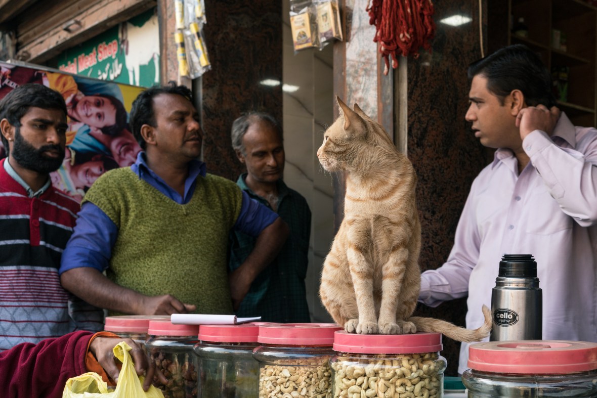 Travel Photography of Amritsar India streets by mcmessner Mary Catherine Messner with Maciej Dakowicz 