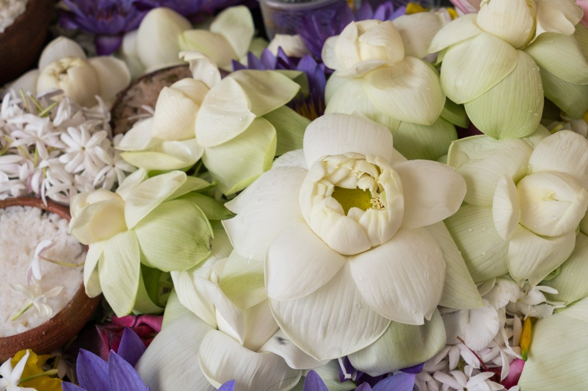 Street and travel photographs of Dambulla Sri Lnka taken by Mary Catherine Messner for mctravelpics.com.