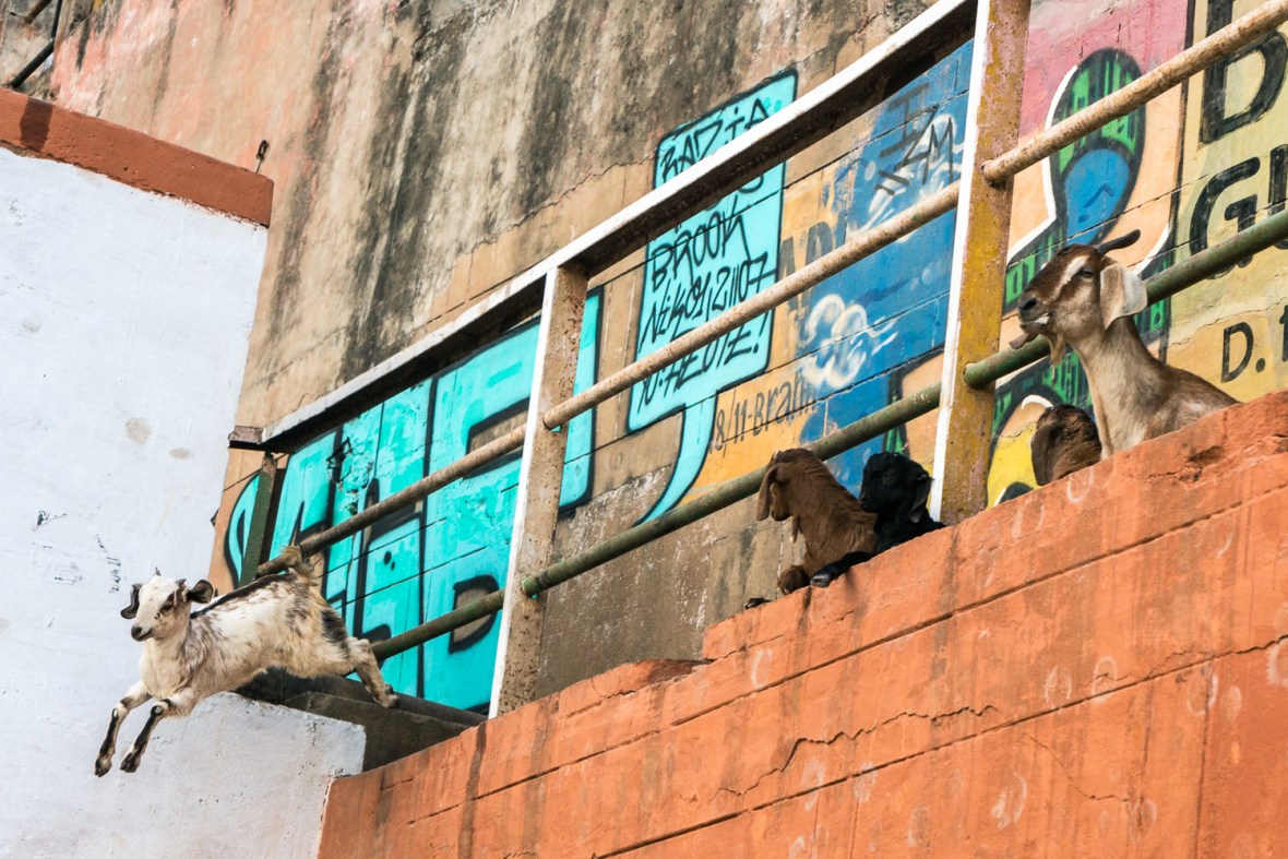 Travel and street photographs of Varanasi Uttar Pradesh India made by Mary Catherine Messner for mctravelpics.com.