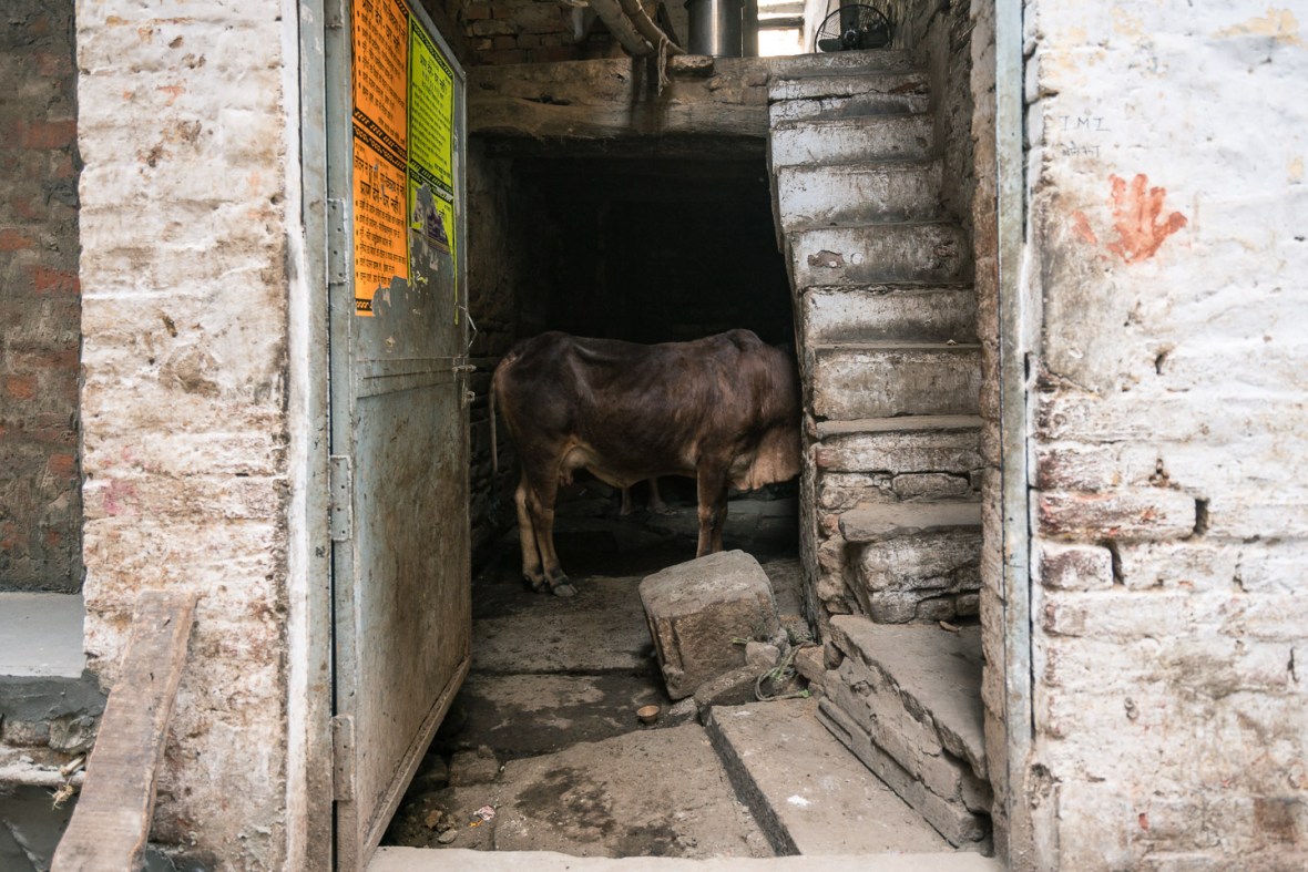 Travel and street photographs of Varanasi Uttar Pradesh India made by Mary Catherine Messner for mctravelpics.com.