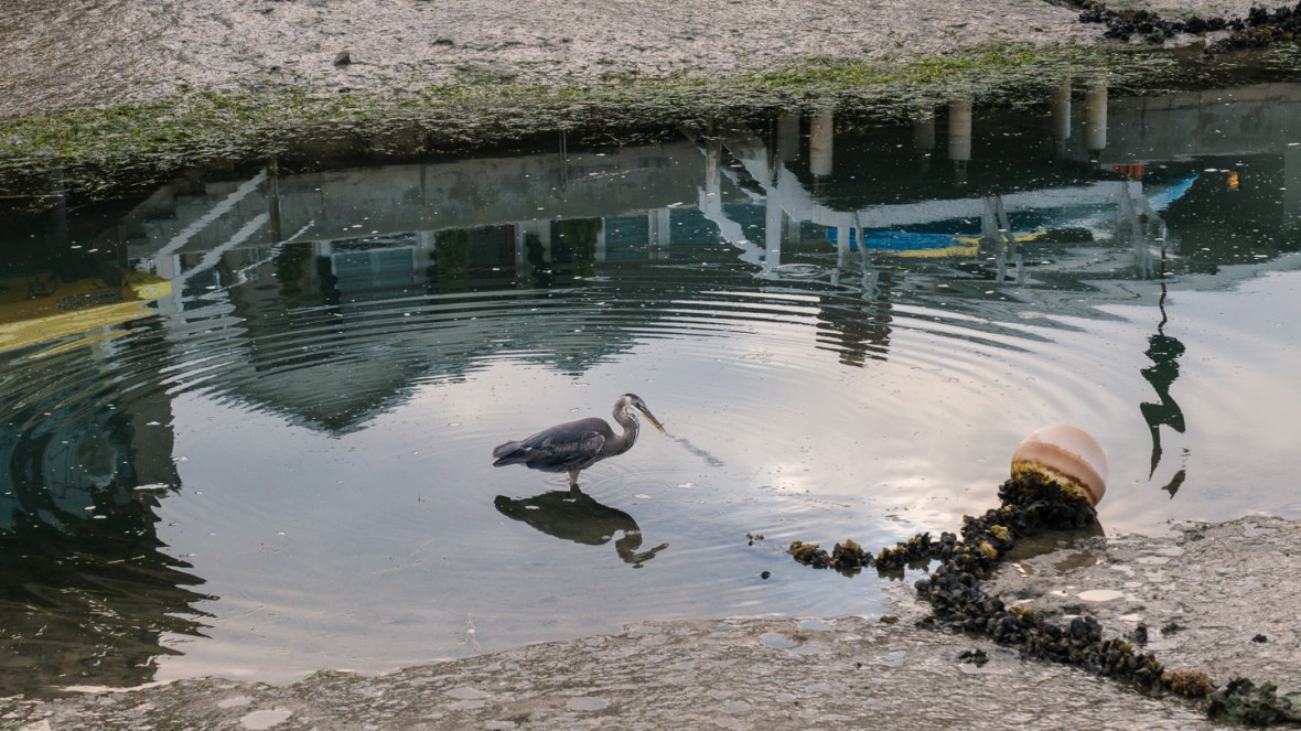 Street and travel photographs of Balboa Island California taken by Mary Catherine Messner for mctravelpics.com.