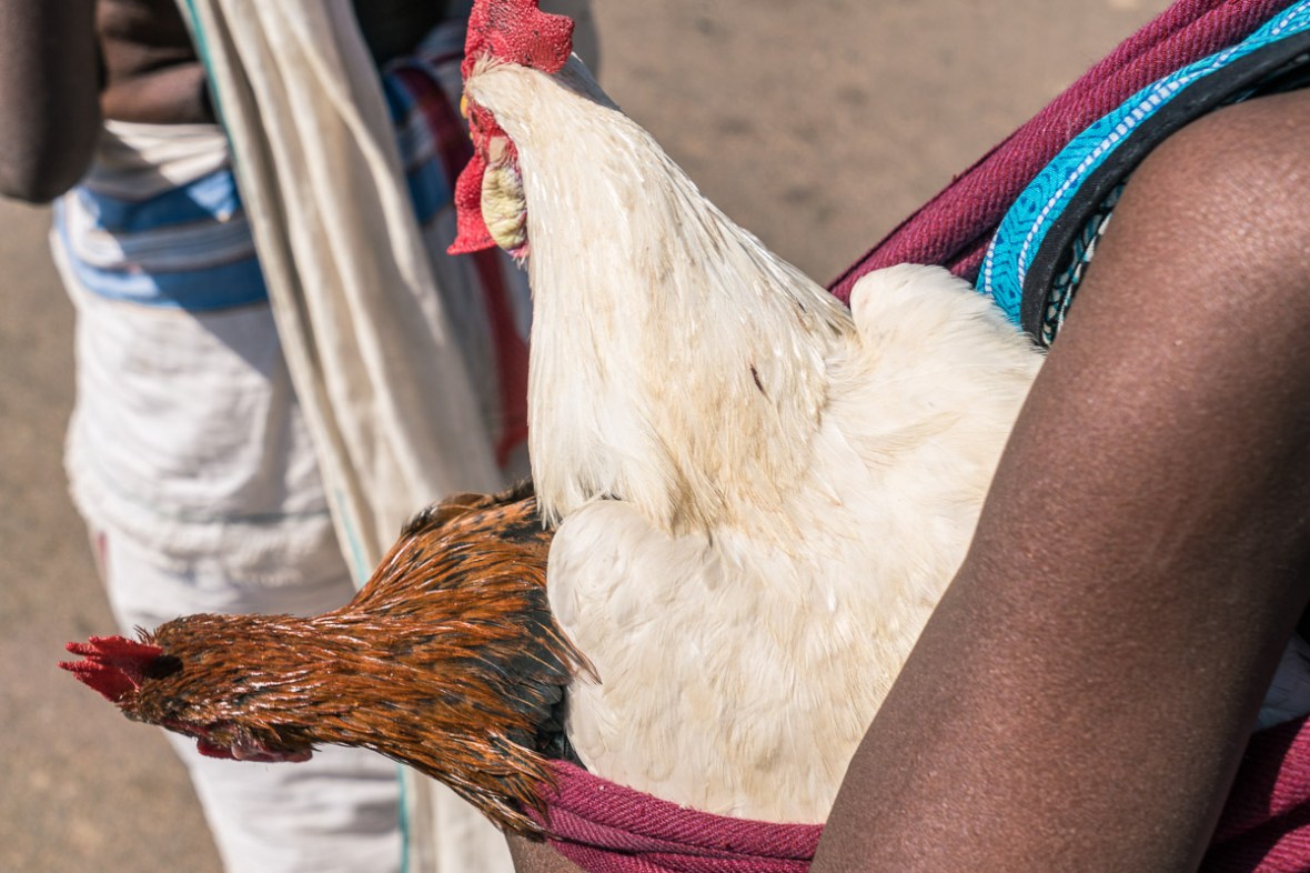 Street and travel photographs of Rayagada Odisha India taken by Mary Catherine Messner for mctravelpics.com.