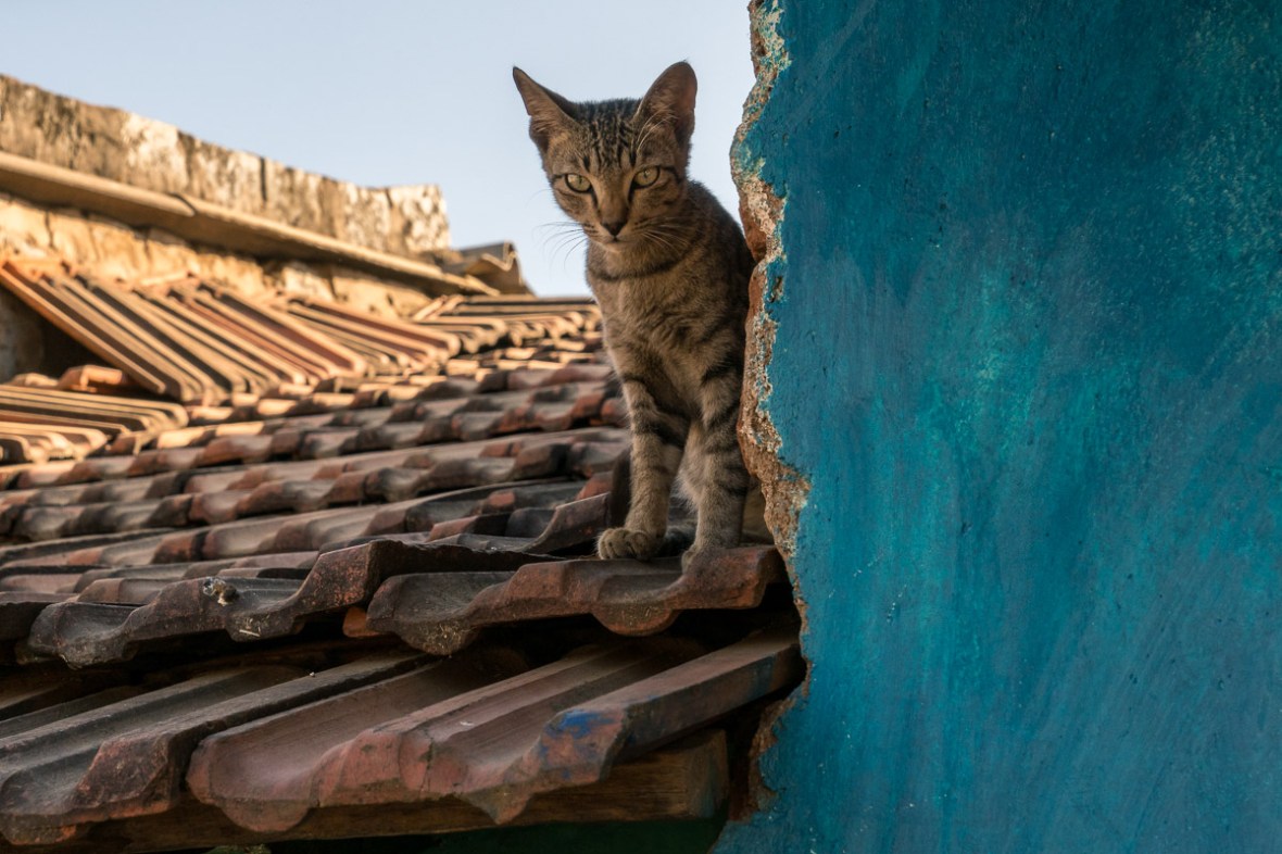 Street and travel photographs of Jeypore Odisha India taken by Mary Catherine Messner for mctravelpics.com.