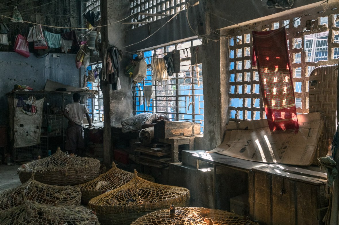 Street and travel photographs of Kolkata India taken by Mary Catherine Messner for mctravelpics.com.