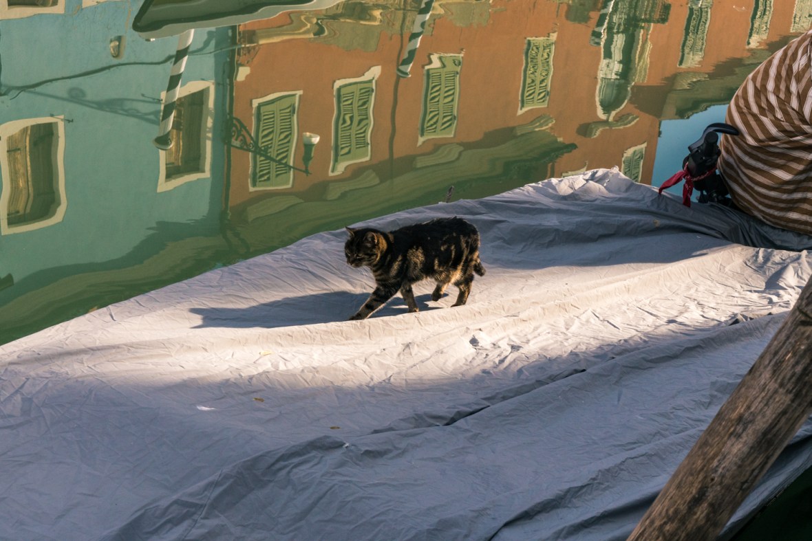 Street and travel photographs of Venice Italy taken by Mary Catherine Messner for mctravelpics.com.