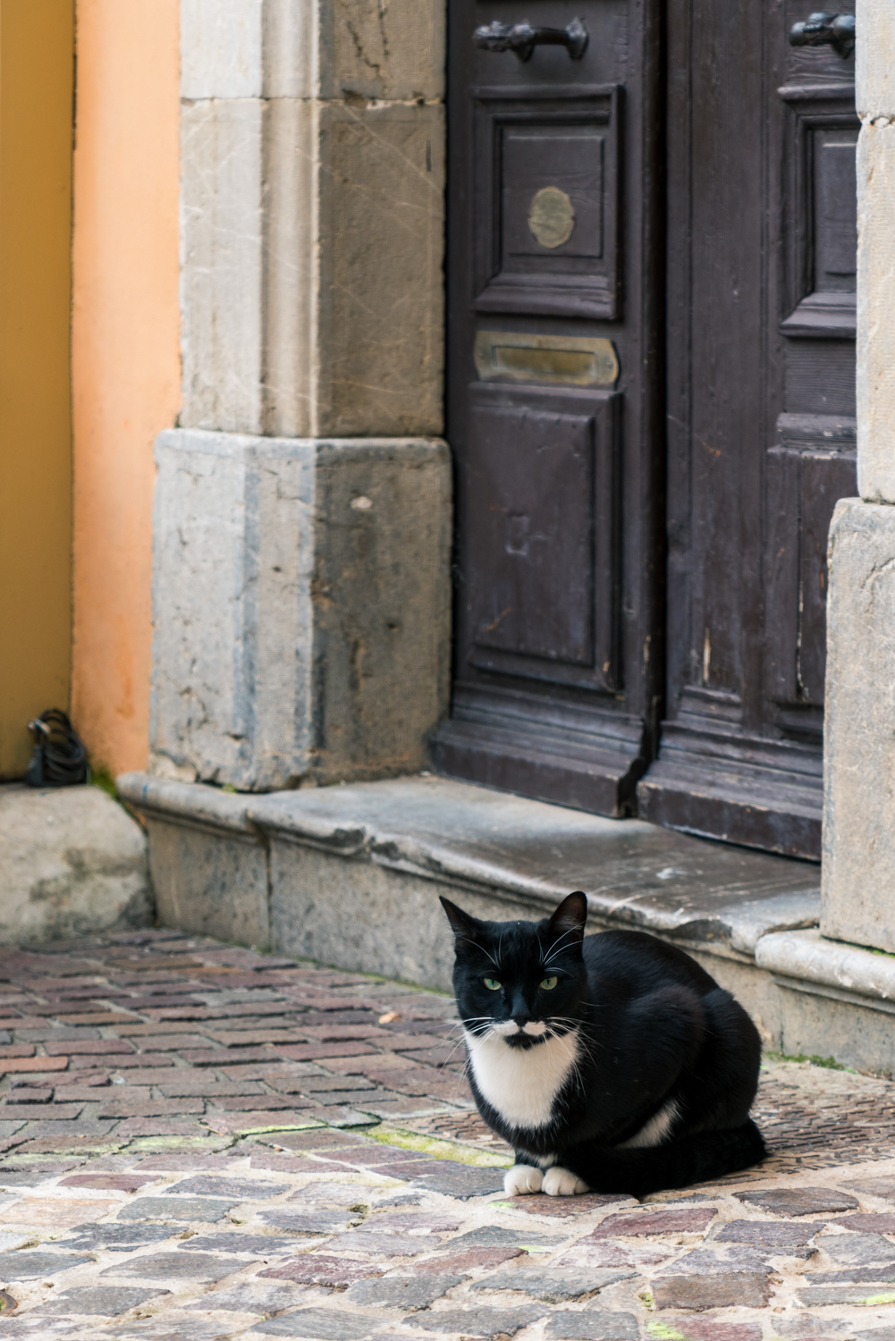 Street and travel photographs of Hyeres France taken by Mary Catherine Messner for mctravelpics.com.