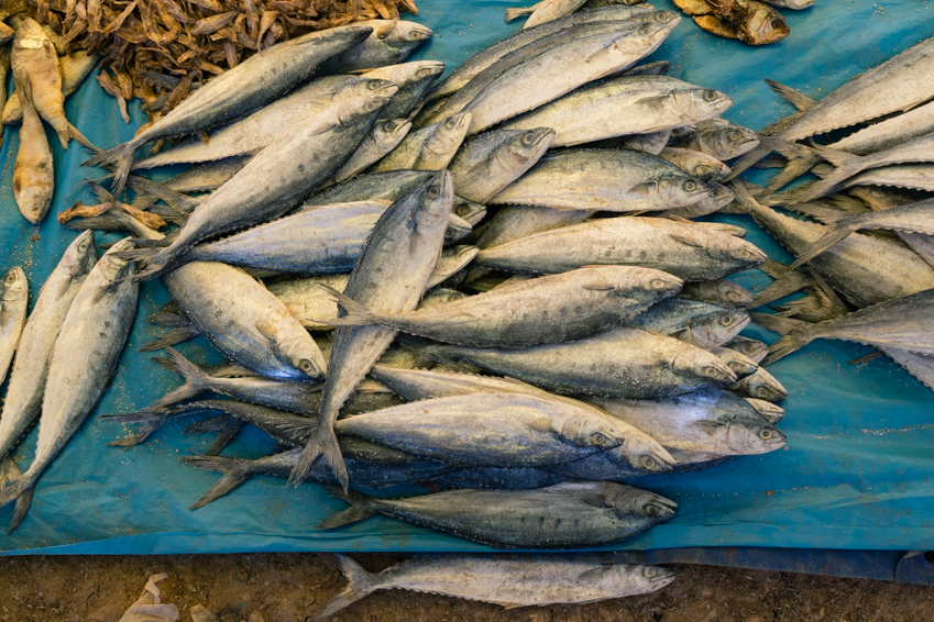 Street and travel photographs of Jeypore Odisha India taken by Mary Catherine Messner for mctravelpics.com.