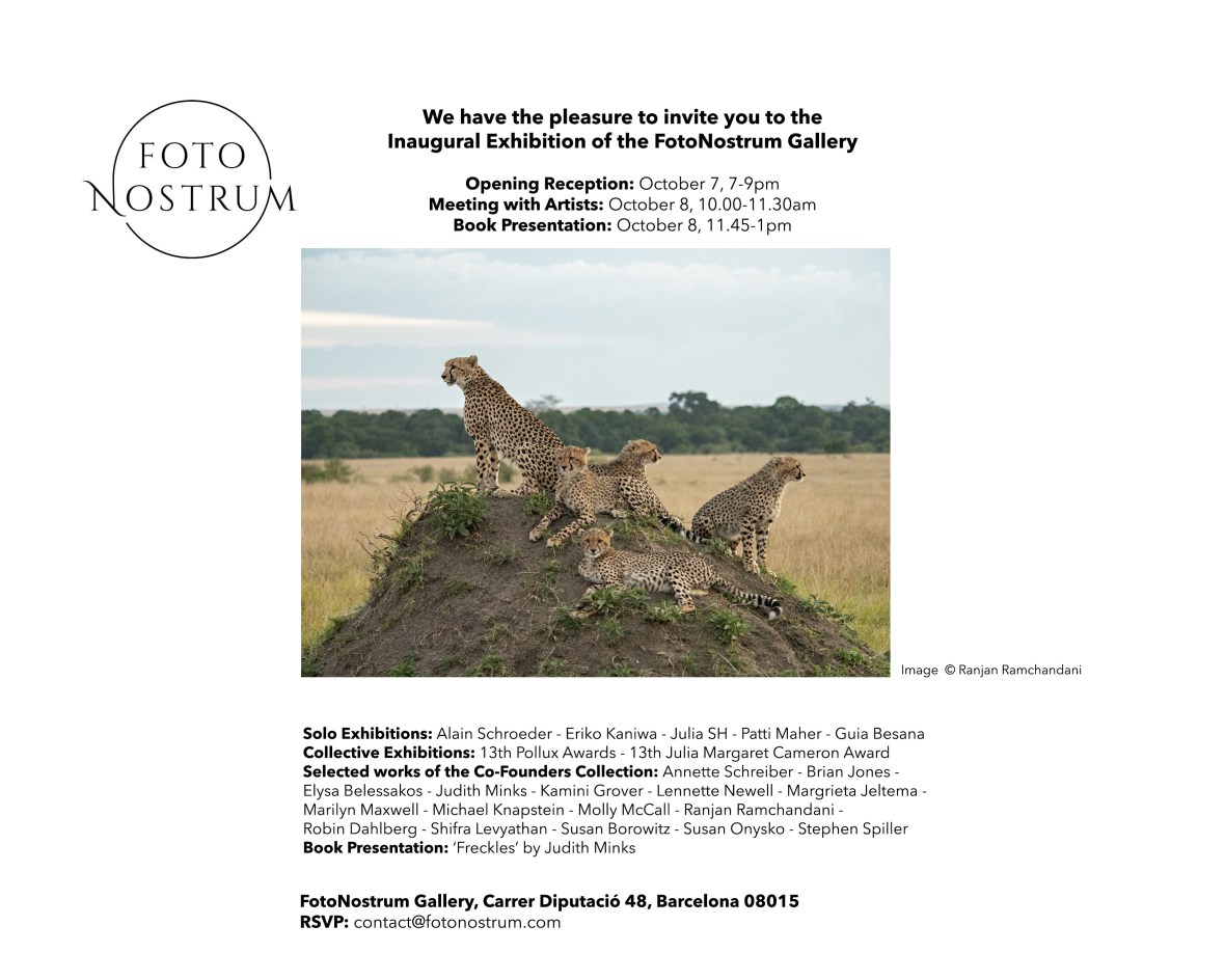 Invitation to the Julia Margaret Cameron Awards, group exhibition at FotoNostrum in Barcelona Spain.