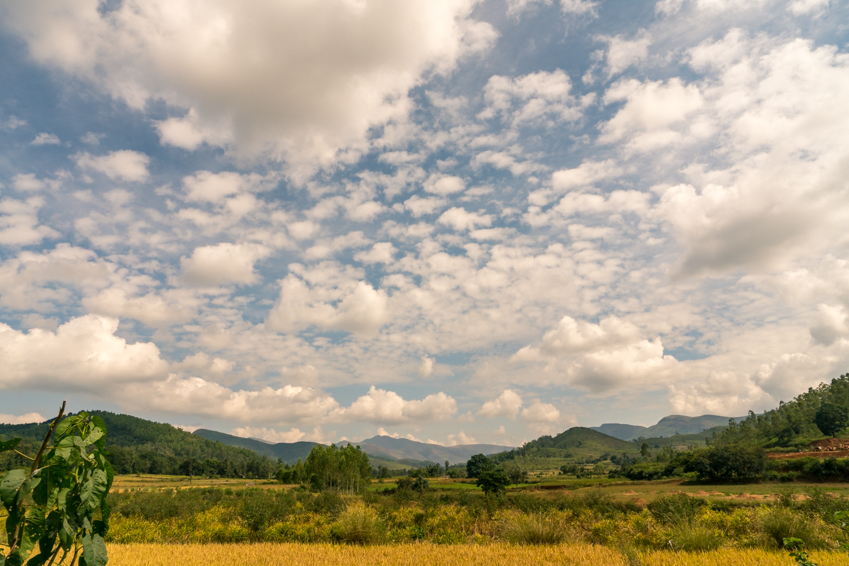 Street and travel photographs of Odisha India taken by Mary Catherine Messner for mctravelpics.com.