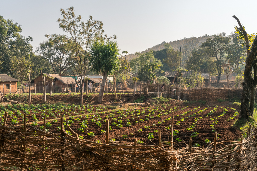 Street and travel photographs of Rayagada Odisha India taken by Mary Catherine Messner for mctravelpics.com.