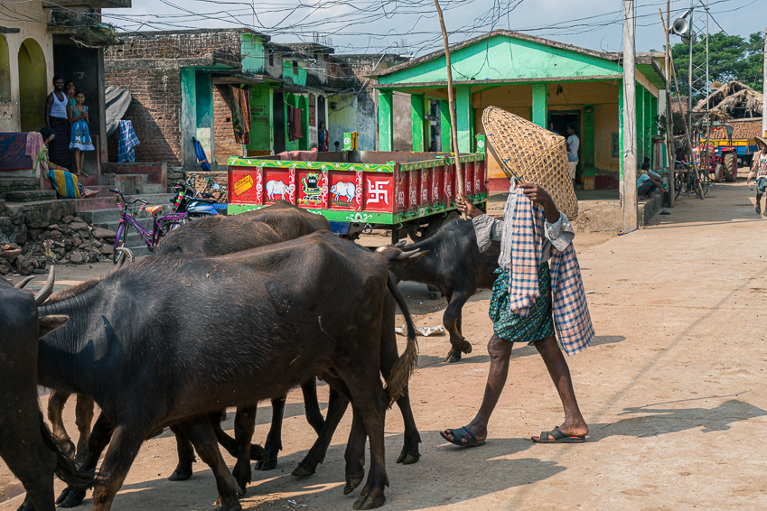 Street and travel photographs of Rayagada Odisha India taken by Mary Catherine Messner for mctravelpics.com.