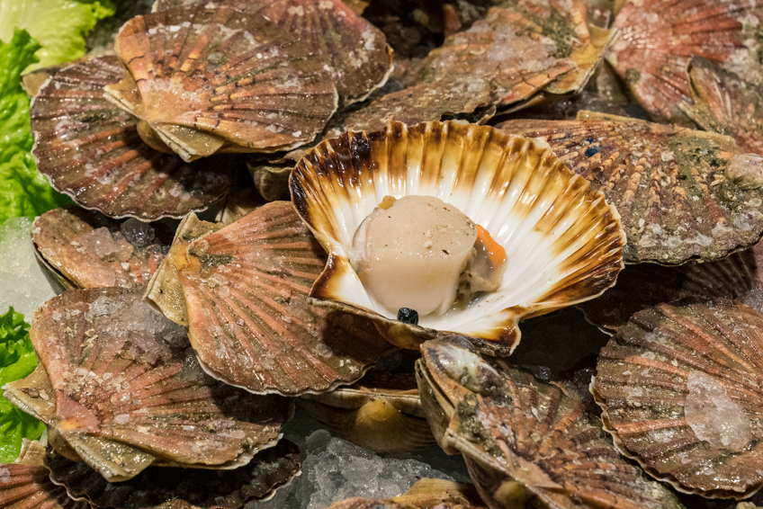 Street and travel photographs of Venice Italy taken by Mary Catherine Messner for mctravelpics.com.