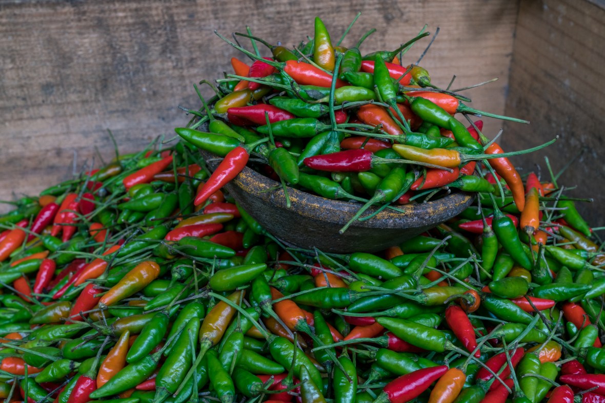 Street and travel photographs of Salvador Bahia Cachoeira Brazil taken by Mary Catherine Messner for mctravelpics.com.