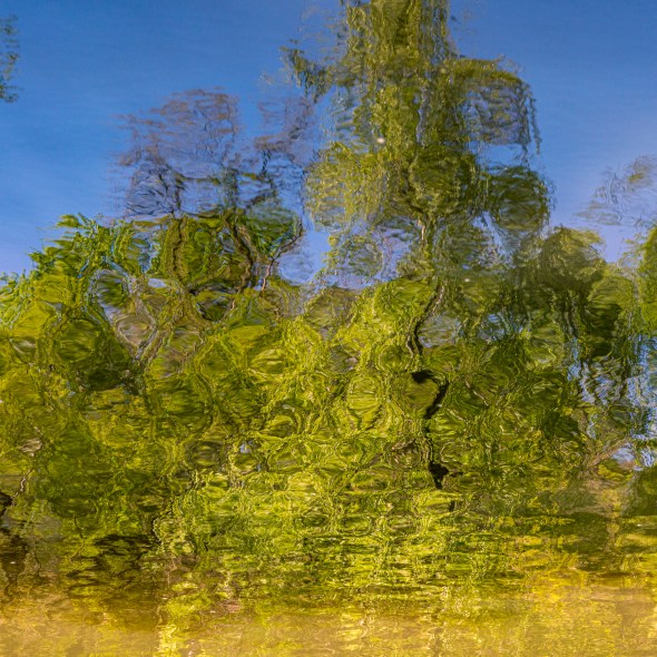 Street and travel photographs of flowers and April Showers taken by Mary Catherine Messner for mctravelpics.com.