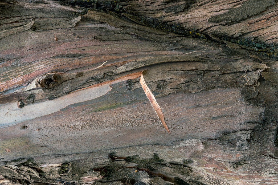 Street and travel photographs of Cuzco and Pisac Peru taken by Mary Catherine Messner for mctravelpics.com.