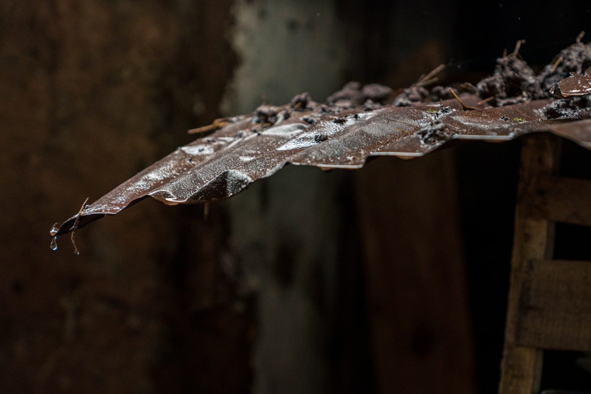 Street and travel photographs of Cuzco and Pisac Peru taken by Mary Catherine Messner for mctravelpics.com.