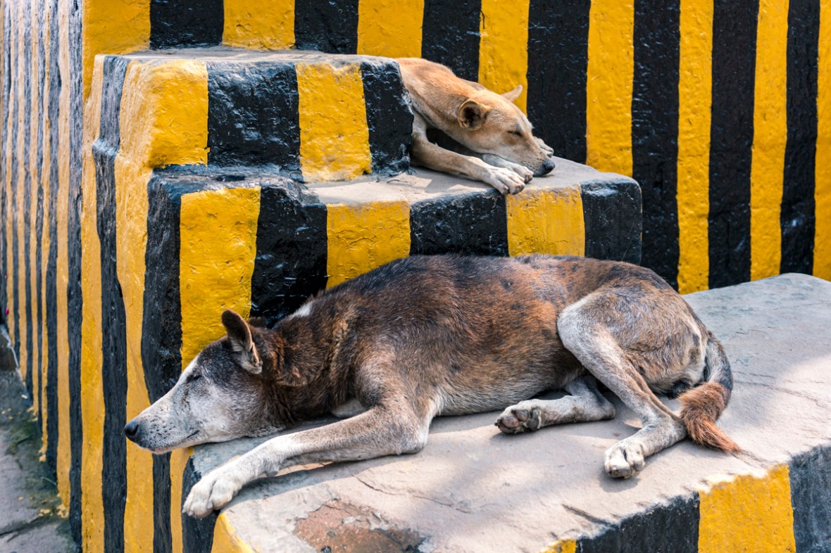 Travel and street photography of Varanasi India people, places and things made while Walking the Lanes with Maciej Dakowicz by mcmessner Mary Catherine Messner.