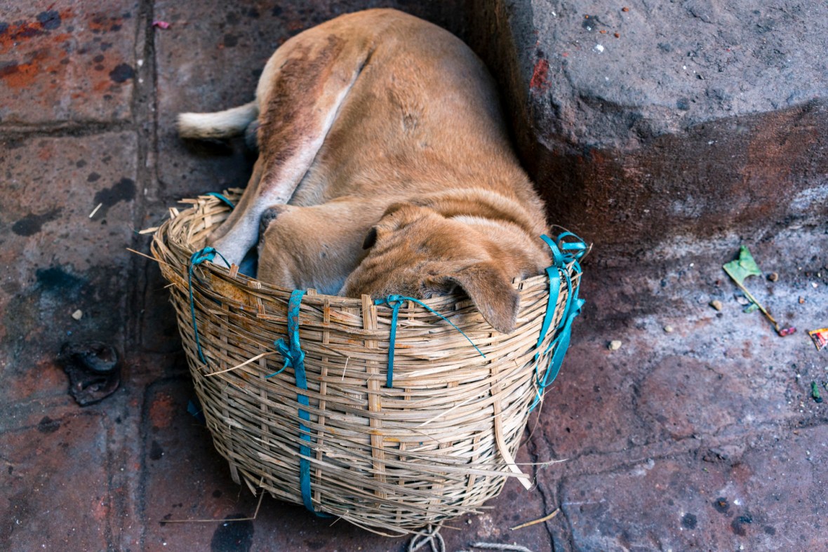 Travel and street photography of Varanasi India people, places and things made while Walking the Lanes with Maciej Dakowicz by mcmessner Mary Catherine Messner.