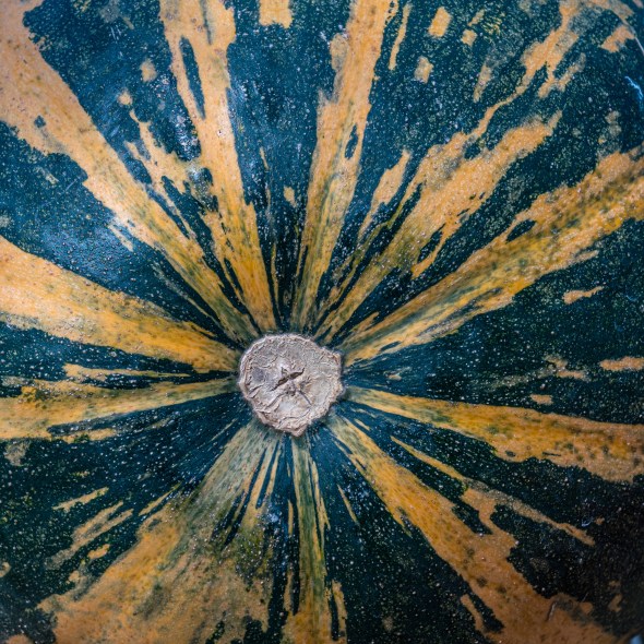 Travel and street photography of New York City made by New York photographer Mary Catherine Messner (mcmessner).