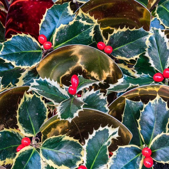 Travel and street photography of Venice or Venezia, Italy made by New York photographer Mary Catherine Messner (mcmessner).