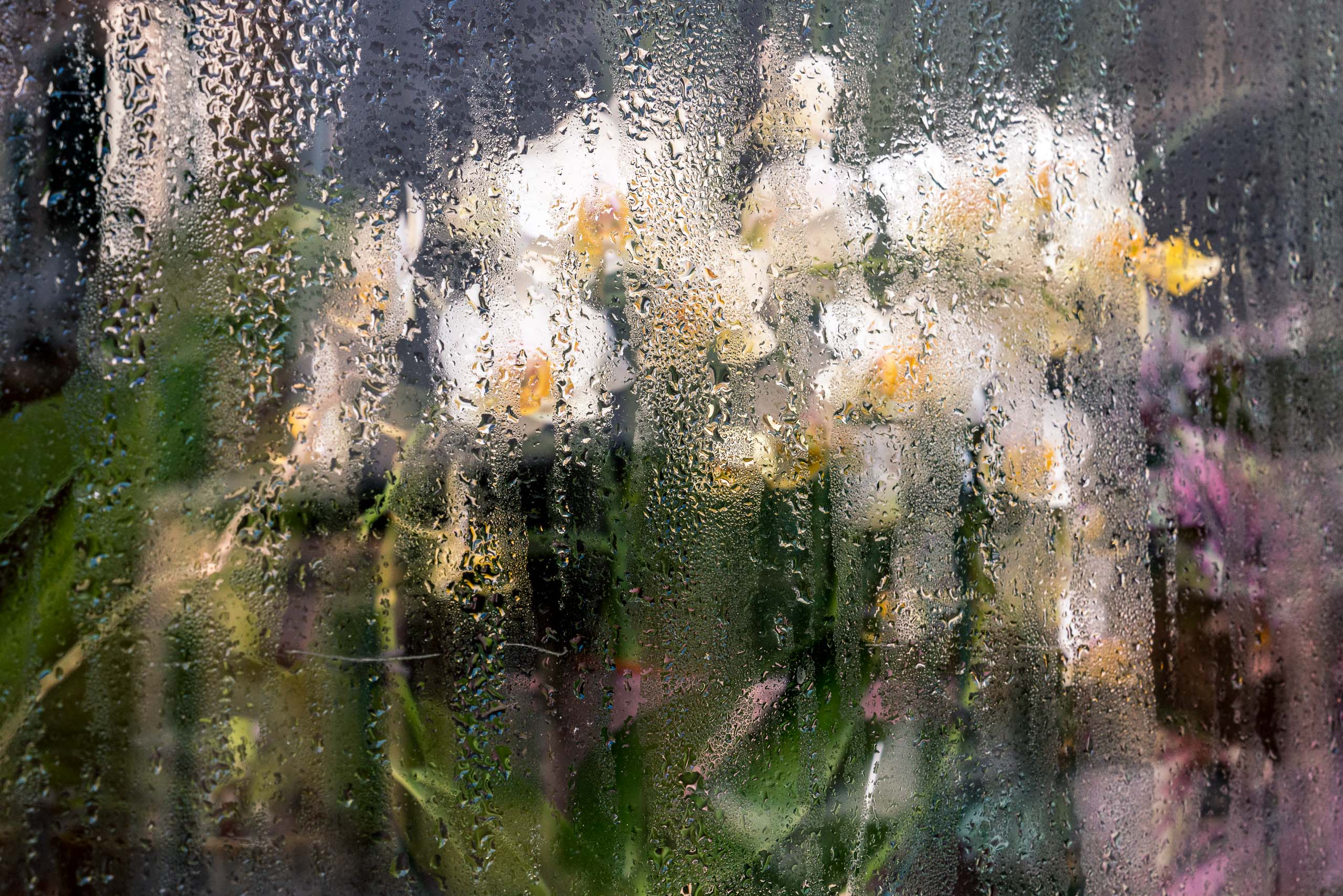 Travel and street photography of Venice or Venezia, Italy made by New York photographer Mary Catherine Messner (mcmessner).