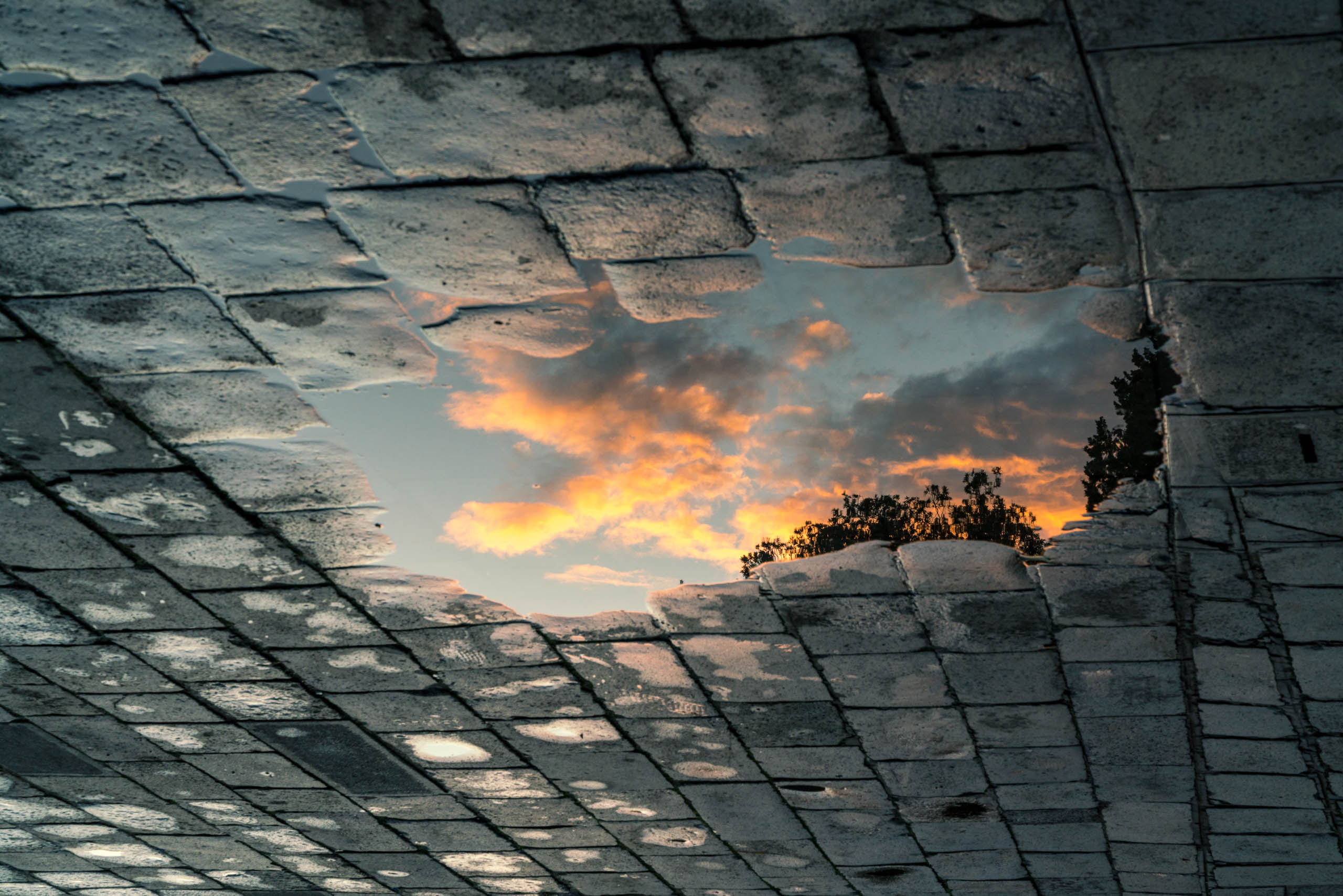 Travel and street photography of Venice or Venezia, Italy made by New York photographer Mary Catherine Messner (mcmessner).