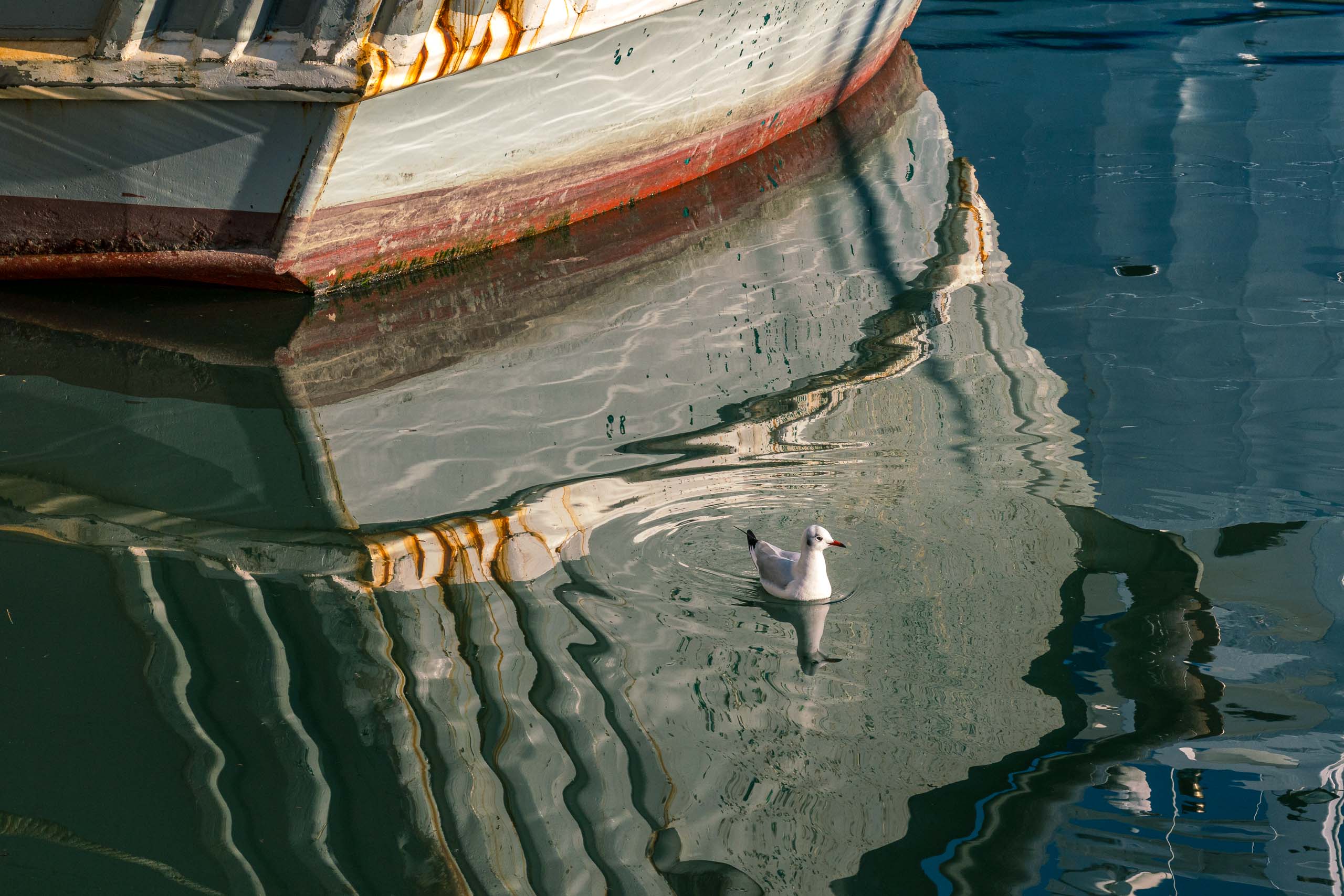 Travel and street photography of Chioggia, Veneto, Italy made by New York photographer Mary Catherine Messner (mcmessner).