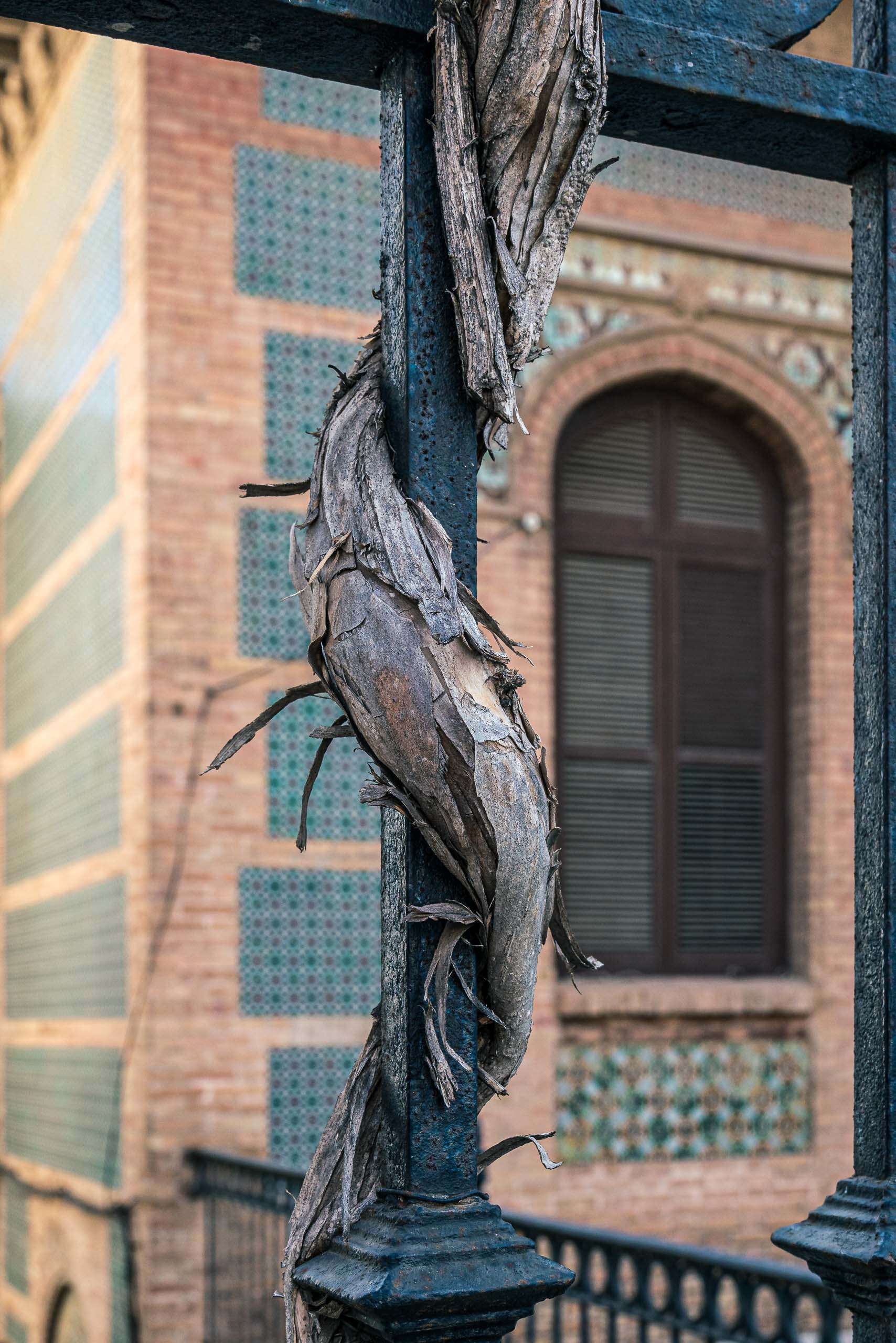 Travel and street photography of Malaga, Andalusia on Spain's Costa del Sol made by New York photographer Mary Catherine Messner (mcmessner).