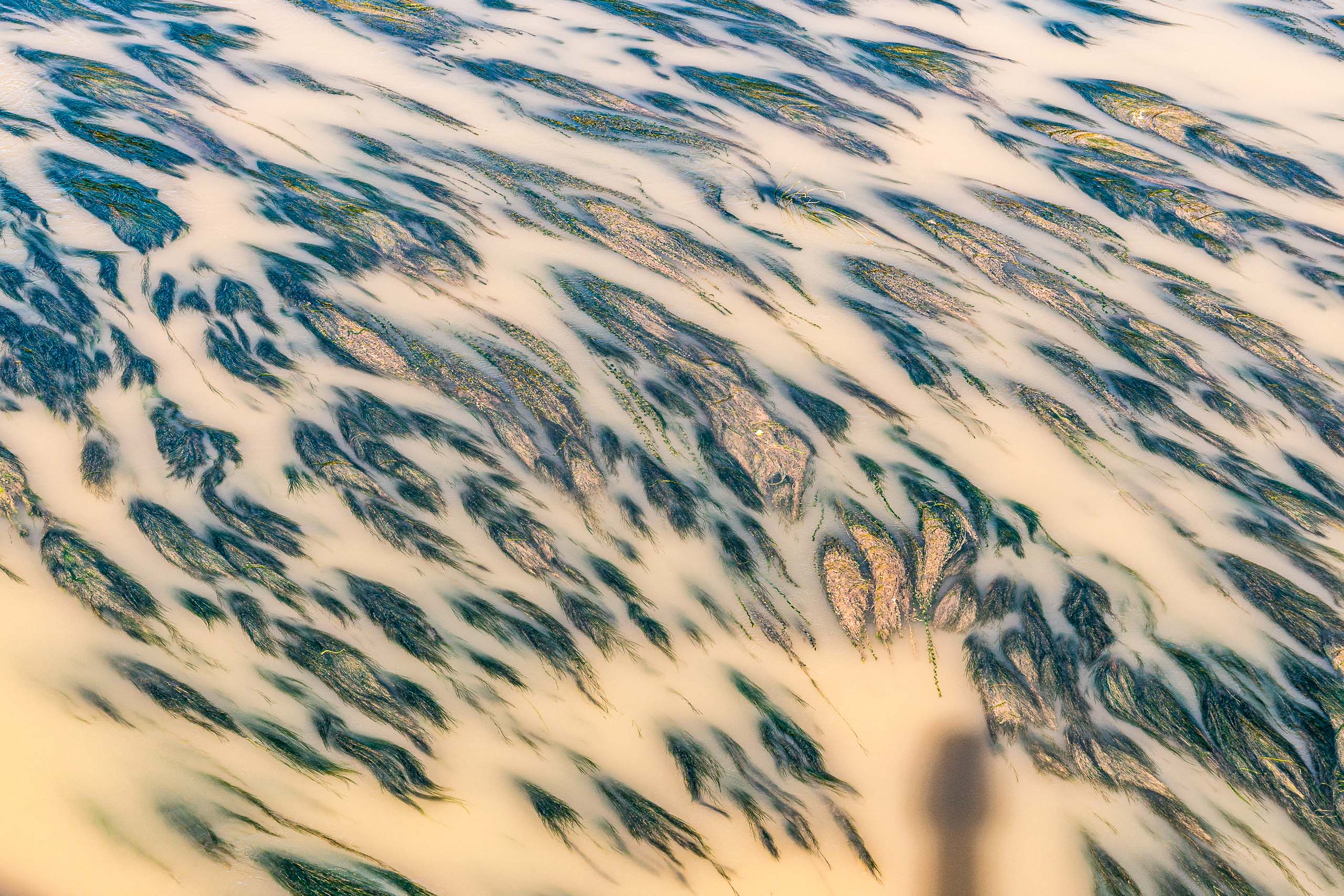 Travel and street photography of Zaragoza, Aragon, Spain made by New York photographer Mary Catherine Messner (mcmessner).