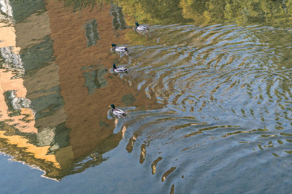 Travel and street photography of Girona, Catalonia Catalunya in Spain made by New York photographer Mary Catherine Messner (mcmessner).