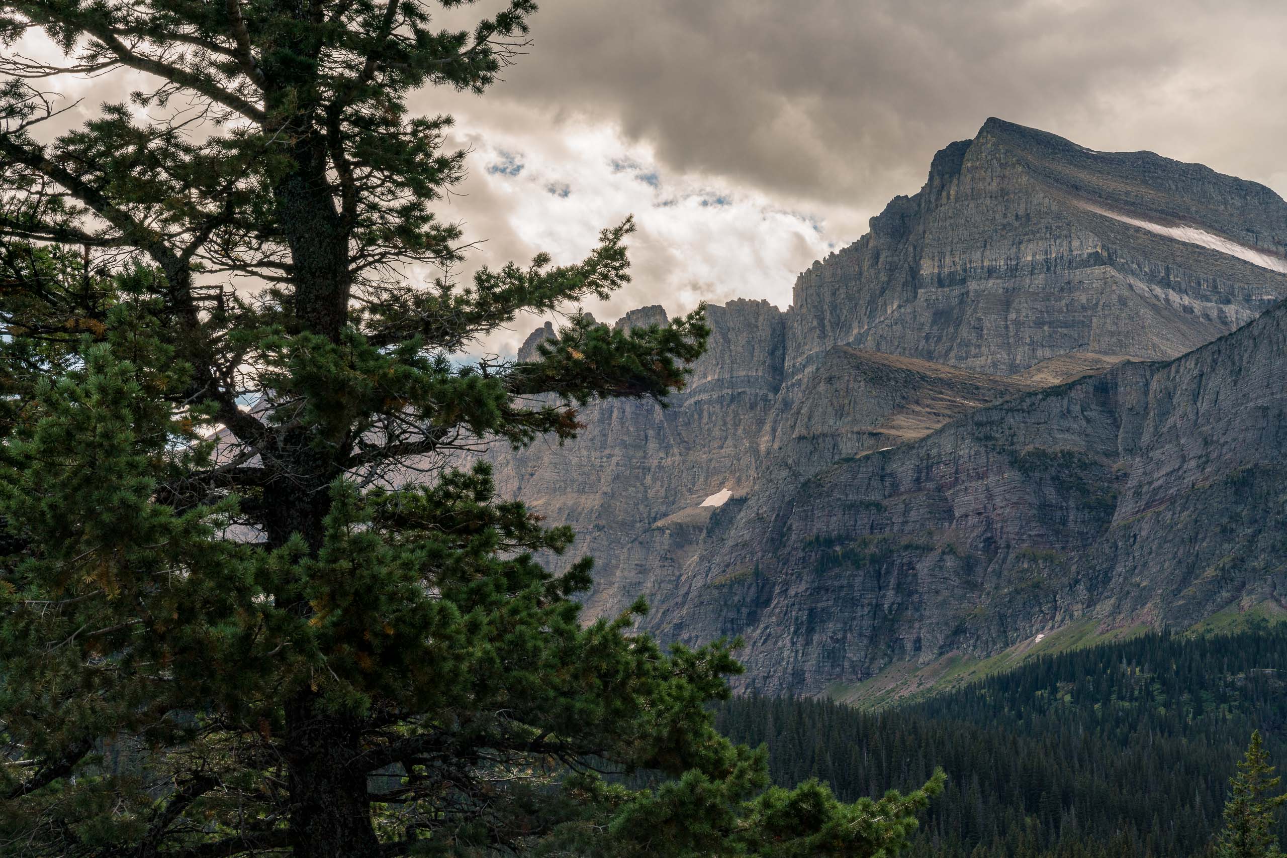 Travel and landscape photography of Glacier National Park, Montana, USA made by New York photographer Mary Catherine Messner (mcmessner).